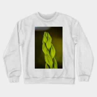 Giant Stalk Crewneck Sweatshirt